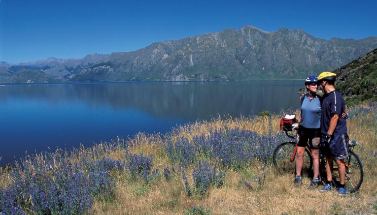 Bnzq-newzealand-biking-7